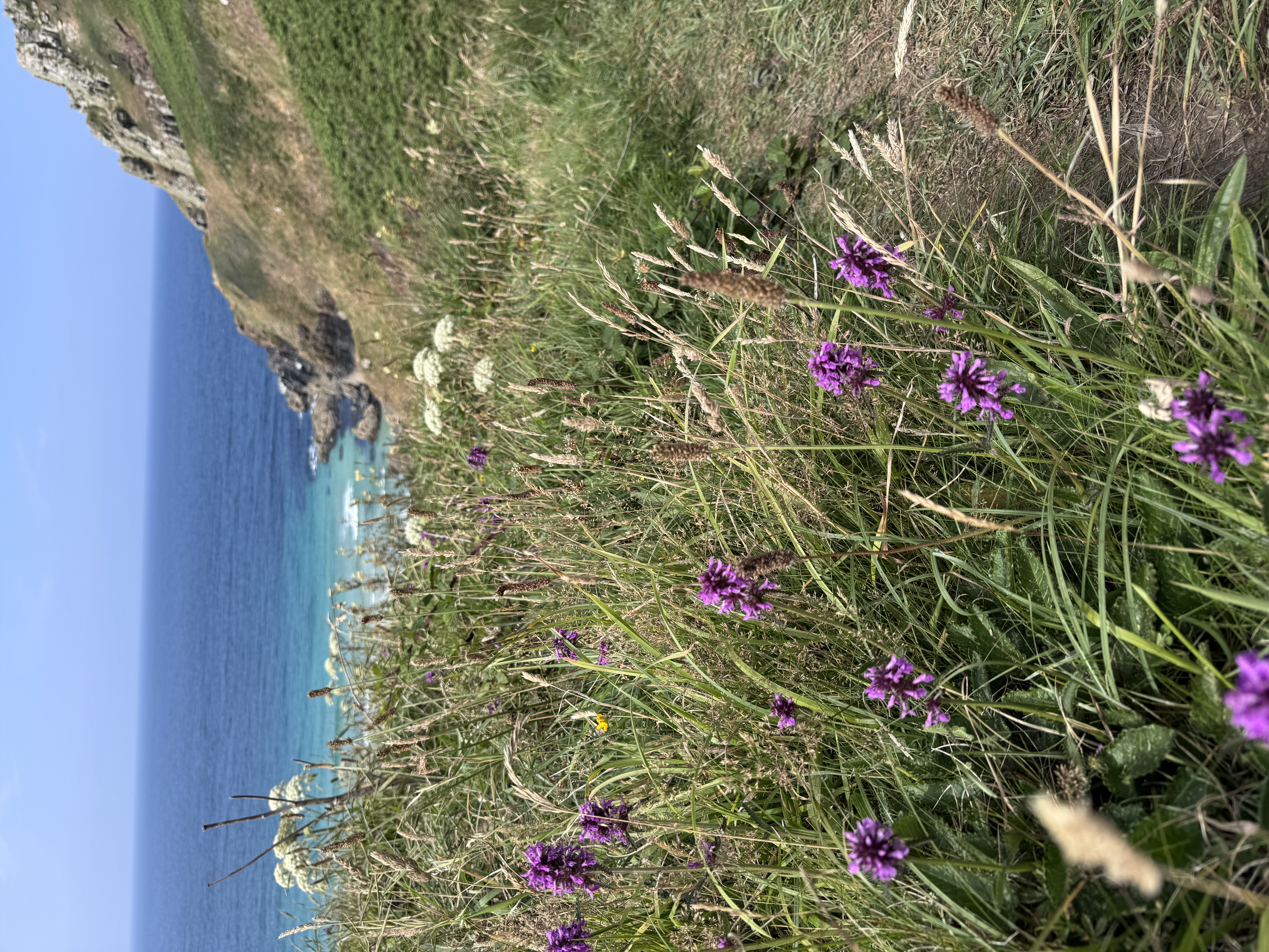 Image 4 of 4 in this post. Tap to enlarge.